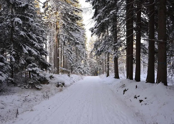 Marzenie Nocleg ze śniadaniem Przesieka